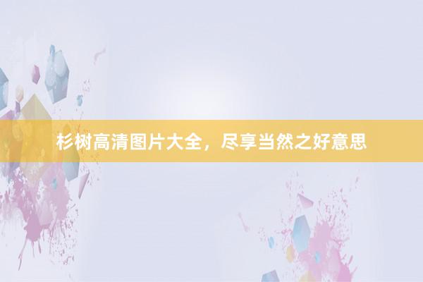 杉树高清图片大全，尽享当然之好意思