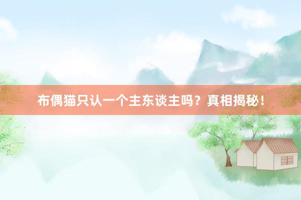 布偶猫只认一个主东谈主吗？真相揭秘！
