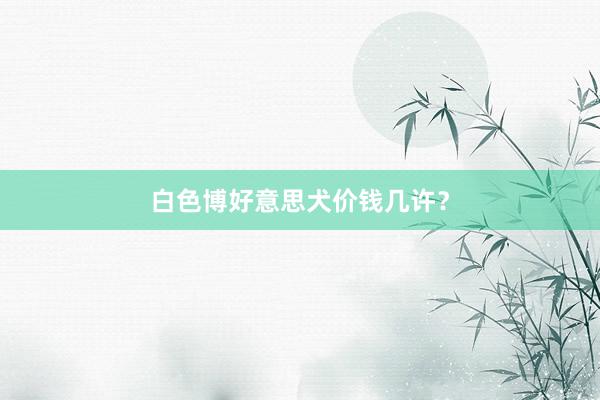 白色博好意思犬价钱几许？