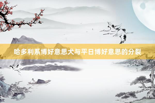哈多利系博好意思犬与平日博好意思的分裂